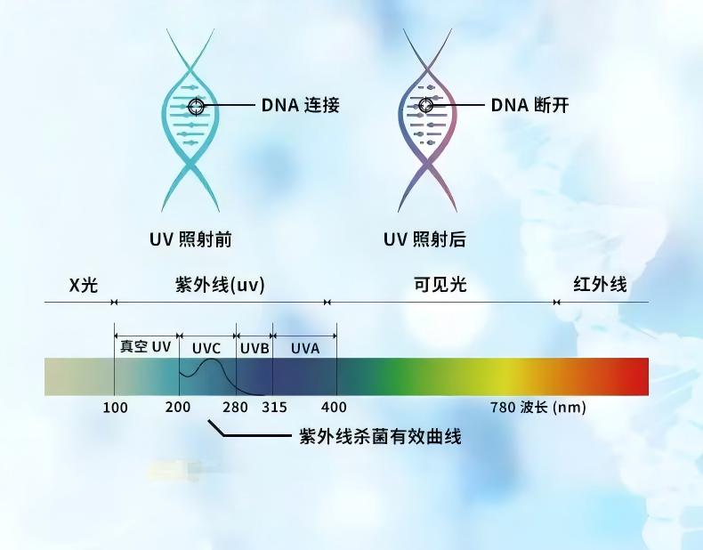 UV light cleaning