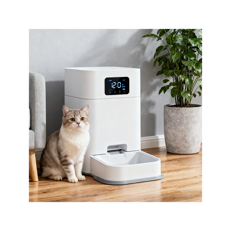 Our pet’s space
